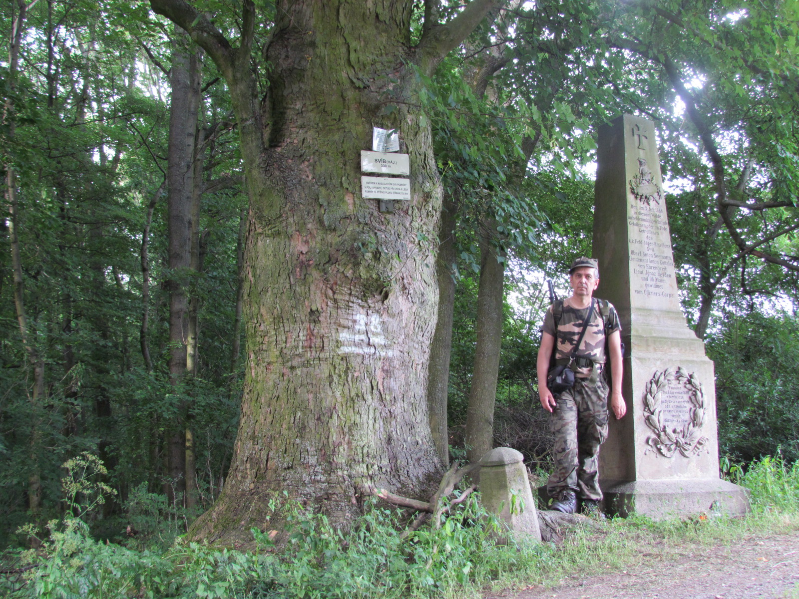 Sadova border=